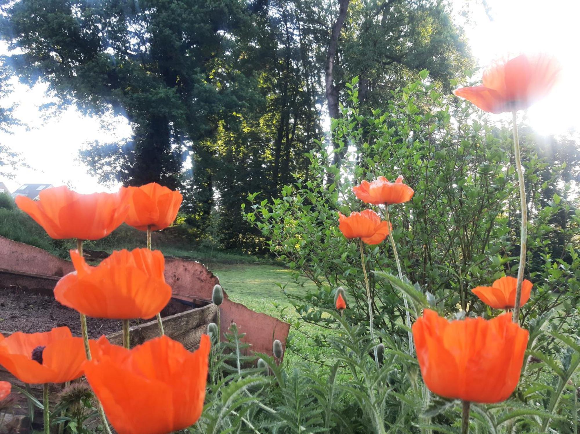 Ferienwohnung Auf Dem Land 拉德贝尔根 外观 照片