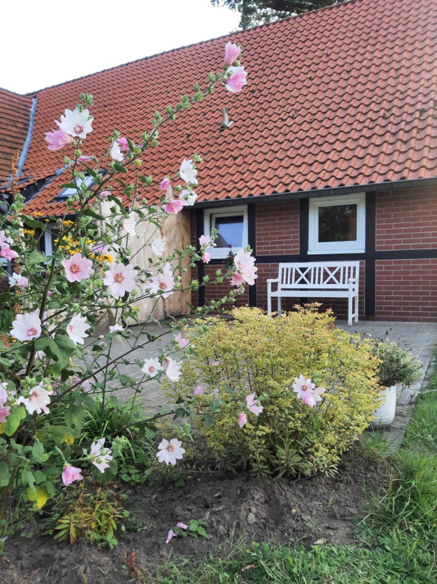 Ferienwohnung Auf Dem Land 拉德贝尔根 外观 照片