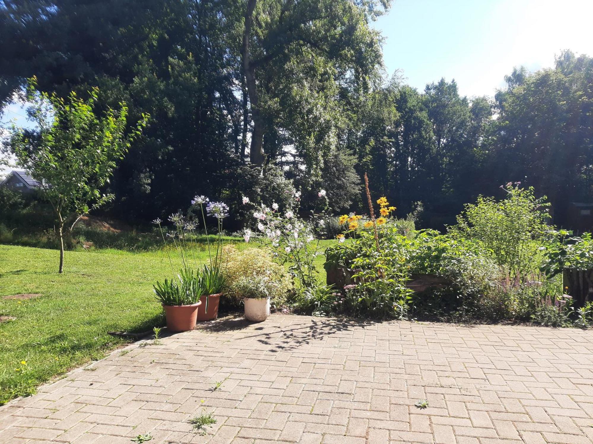 Ferienwohnung Auf Dem Land 拉德贝尔根 外观 照片